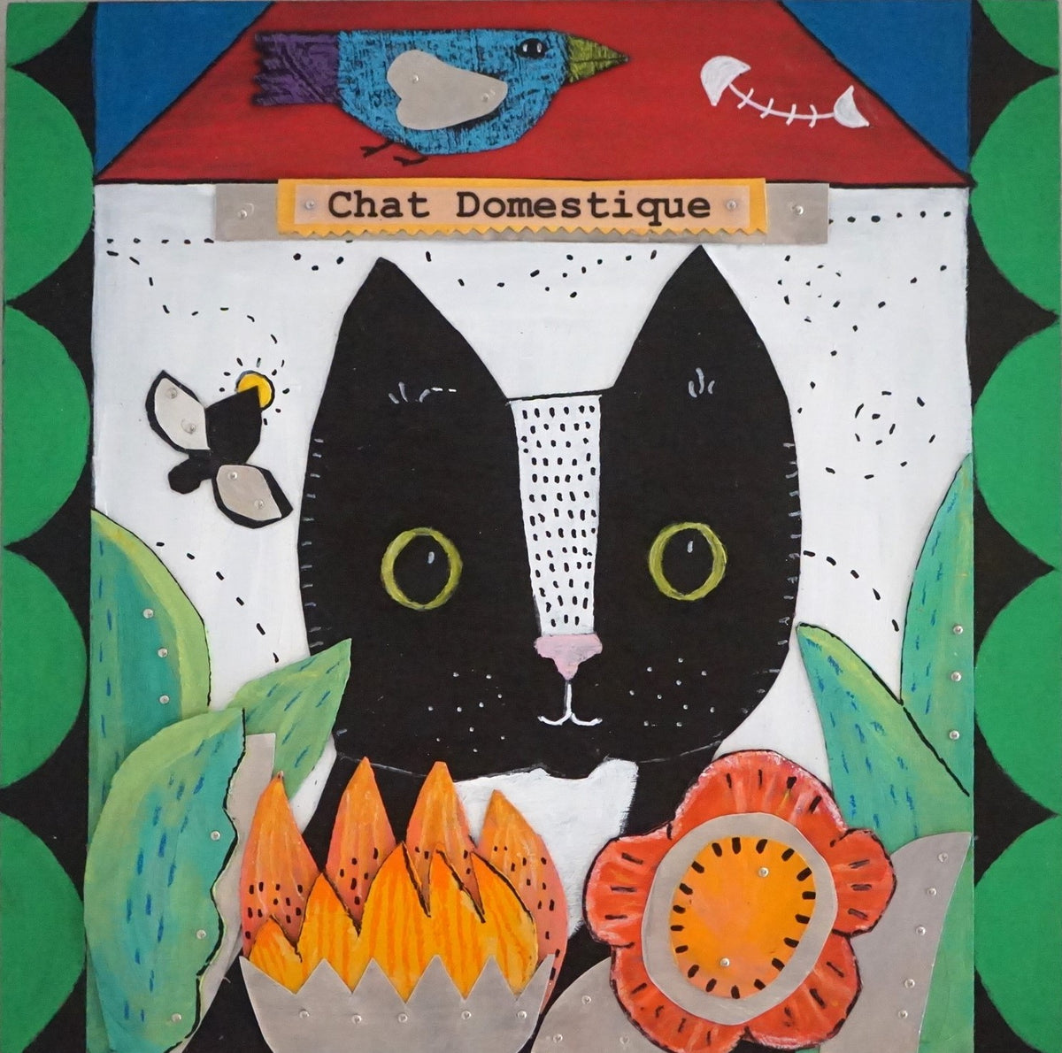 Chat Domestique