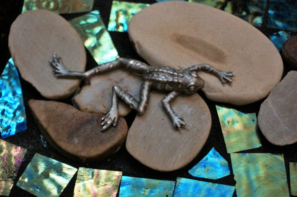 Pond Frog